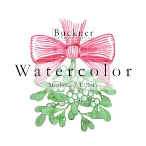 WATERCOLOR Mistletoe Clip Art - Hanging Mistletoe - Christmas Clip Art - Holiday Invitation Art - Illustration - Instant Download - PNG