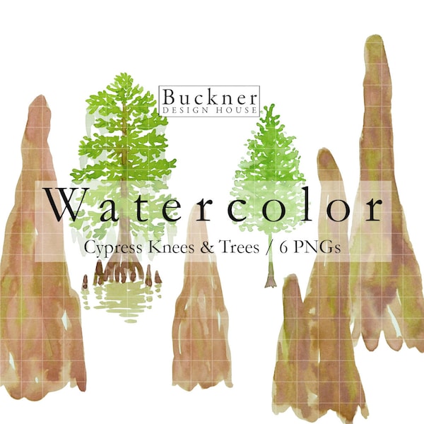WATERCOLOR Cypress Knees Clip Art - Bald Cypress - Cypress Tree - Louisiana - Trees - Swamp Scene - Illustrations - Instant Download PNG