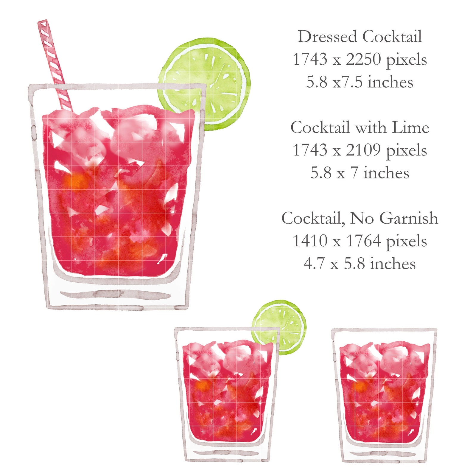 WATERCOLOR Cranberry Vodka Cocktail Illustration Vodka Etsy