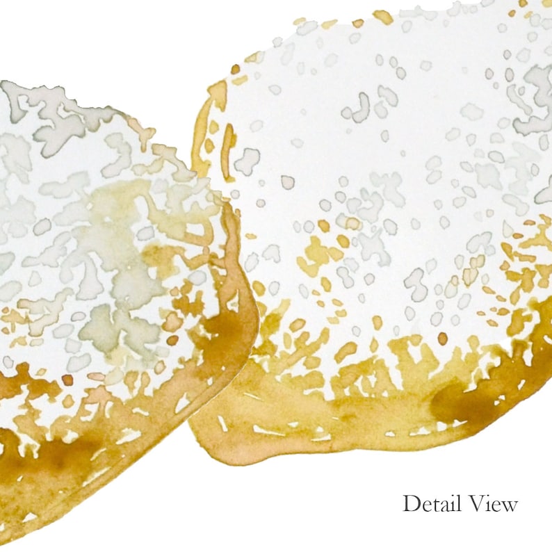 WATERCOLOR Illustrations New Orleans Donuts Etsy