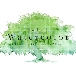 WATERCOLOR Large Green Southern Live Oak Tree Clip Art - Oak Tree - Spanish Moss - Plantation Oak - Hand painted - Download - JPG, PNG