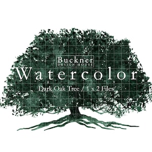 WATERCOLOR Large Live Oak Tree Clip Art - Hand painted - Instant Download - Live Oak - Financial - Real Estate - Digital Files - jpg & png