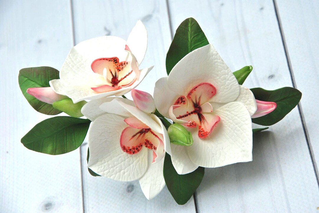 Orchid Hair Clip Tropical Hawaiian Wedding Hair Piece White Orchid ...