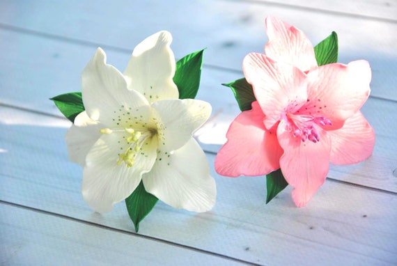 Lily hair clip deals