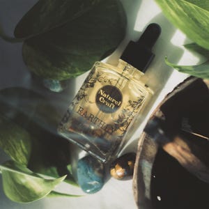 EARTHLY Organic Perfume Oil - 30 ml | Oakmoss, Cardamon, Cedarwood, Benzoin | Natural & Toxin Free Fragrance
