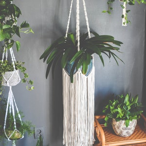 May include: Three macrame plant hangers with green plants in pots. The hangers are made of white cord and have a fringe at the bottom. The plants are hanging from a wooden branch.