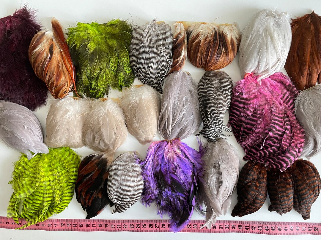 20 Trims Feathers Craft Supplies Home Decor Assorted Craft Etsy