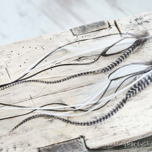 May include: Two feather earrings with white, black, and gray feathers. The earrings have a silver-colored clasp. The feathers are arranged on a weathered wooden surface, creating a bohemian aesthetic.
