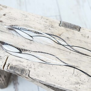 May include: Two long feather earrings with white, black, and brown feathers. The earrings are displayed on a weathered wooden surface. Each earring has a silver-colored ring at the top for attachment.