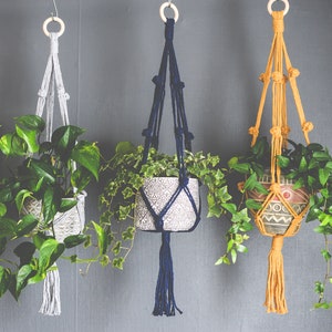 Puede incluir: Tres maceteros colgantes de macramé con cordones de diferentes colores, cada uno con una planta en maceta. Los maceteros están hechos con una técnica de anudado y tienen borlas en la parte inferior. Las plantas son verdes y frondosas.