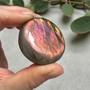 以下が含まれることがあります： 磨かれた楕円形のラブラドライトの宝石。石はピンク、紫、黄色、グレーなどの色の混合を示しています。宝石は指の間に保持され、その虹色の表面と自然な模様を際立たせています。背景はぼやけています。