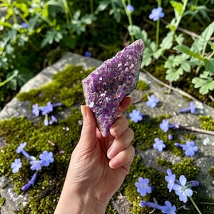 Könnte beinhalten: Eine gezackte, rohe Amethyst-Kristallgruppe mit tiefvioletten Farbtönen und einer irisierenden, metallischen Aura-Beschichtung auf den Kristallspitzen. Das Exemplar weist eine raue, natürliche Textur mit scharfen Kanten auf.