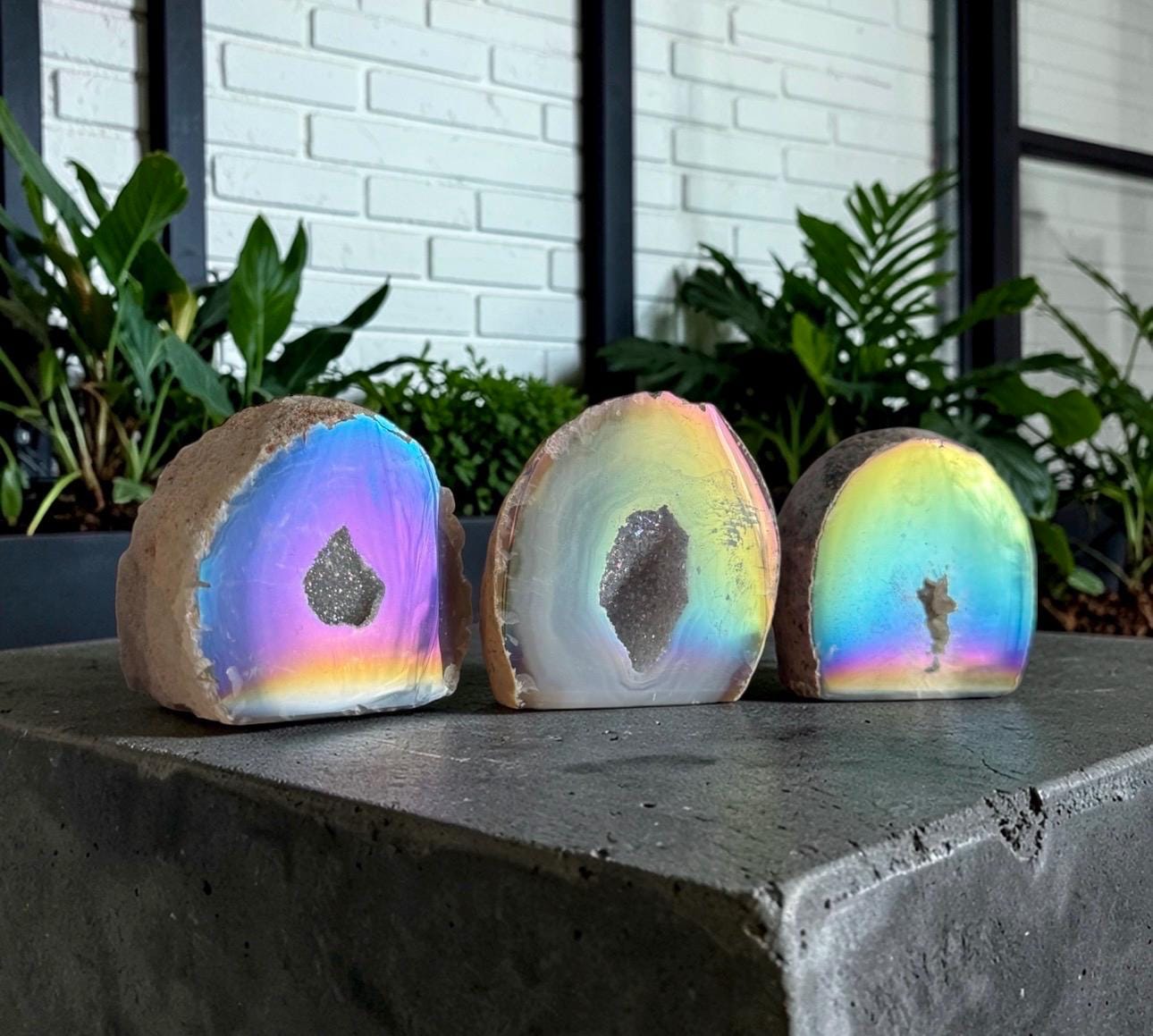 Coral geode - Etsy 日本