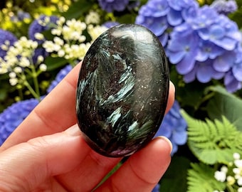 Astrophyllite Blue Arfvedsonite Palm Stone – Rare Feather Crystal for Transformation Insight