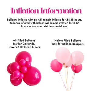 One Silly Goose | First Birthday Decorations | Girl Party Decorations | First Birthday Party | Balloon Tower | Cake Smash Backdrop | image 6