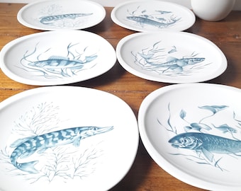 Francais vintage/Assiettes Poisson/porcelaine de Sologne/décor bleu/forme carrée plate/lot de 6/1970