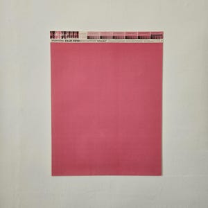 Pantone vintage/Carta colorata Pantone/di Letraset/Poster originale/dimensioni 20,0"×26,0"/numerato sul retro/Rosa 218