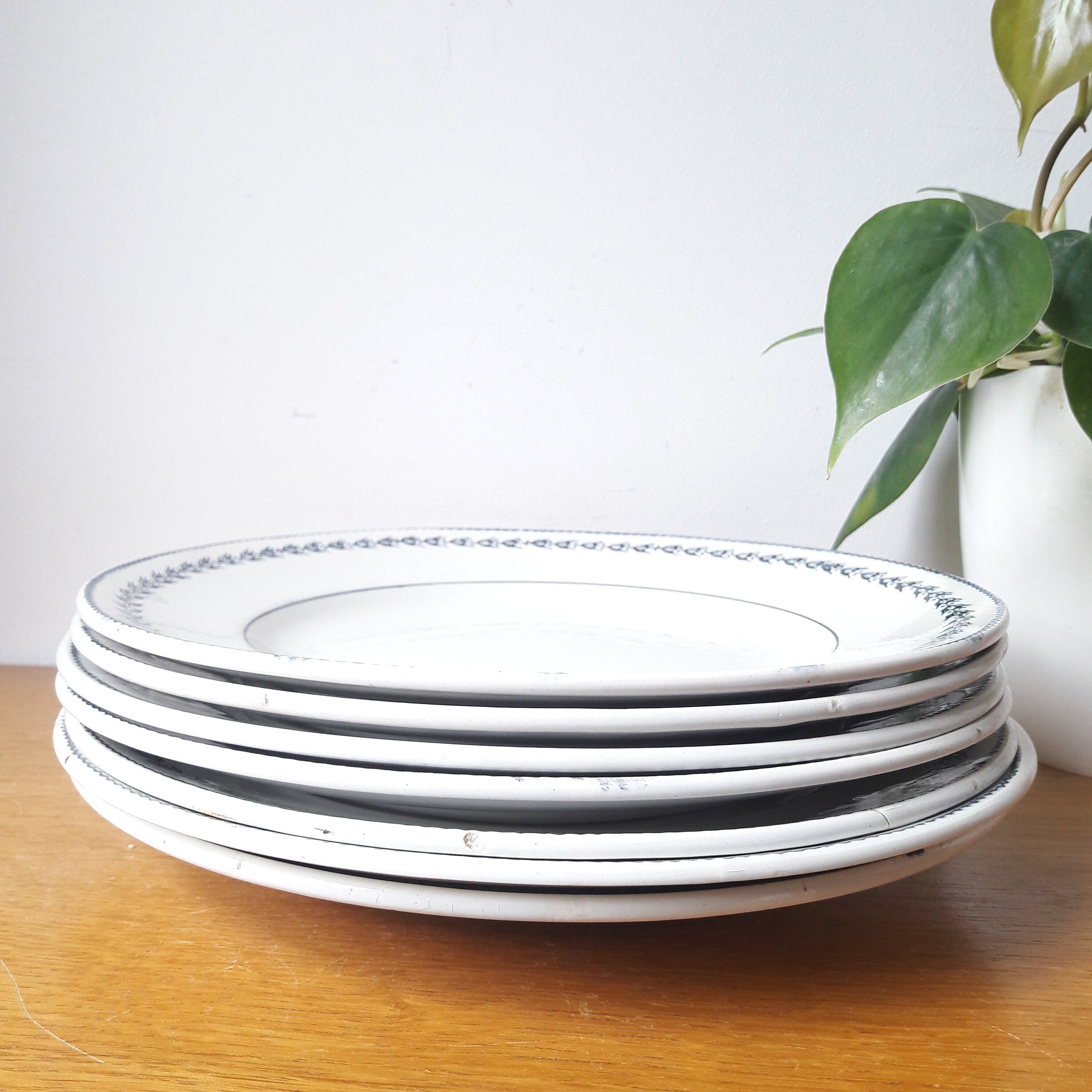 Francais Vintage/Assiettes Terre de Fer/Lot 7/Assiettes Plates/Faience Saint Amand/Décor Au Transfer