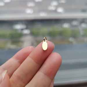 1/10/20/50/100pcs,4,2X13.5mm,Steel/Gold/Rose Gold-Stainless steel jewelry tag, Custom branding name and logo laser engraved,A-L-0092