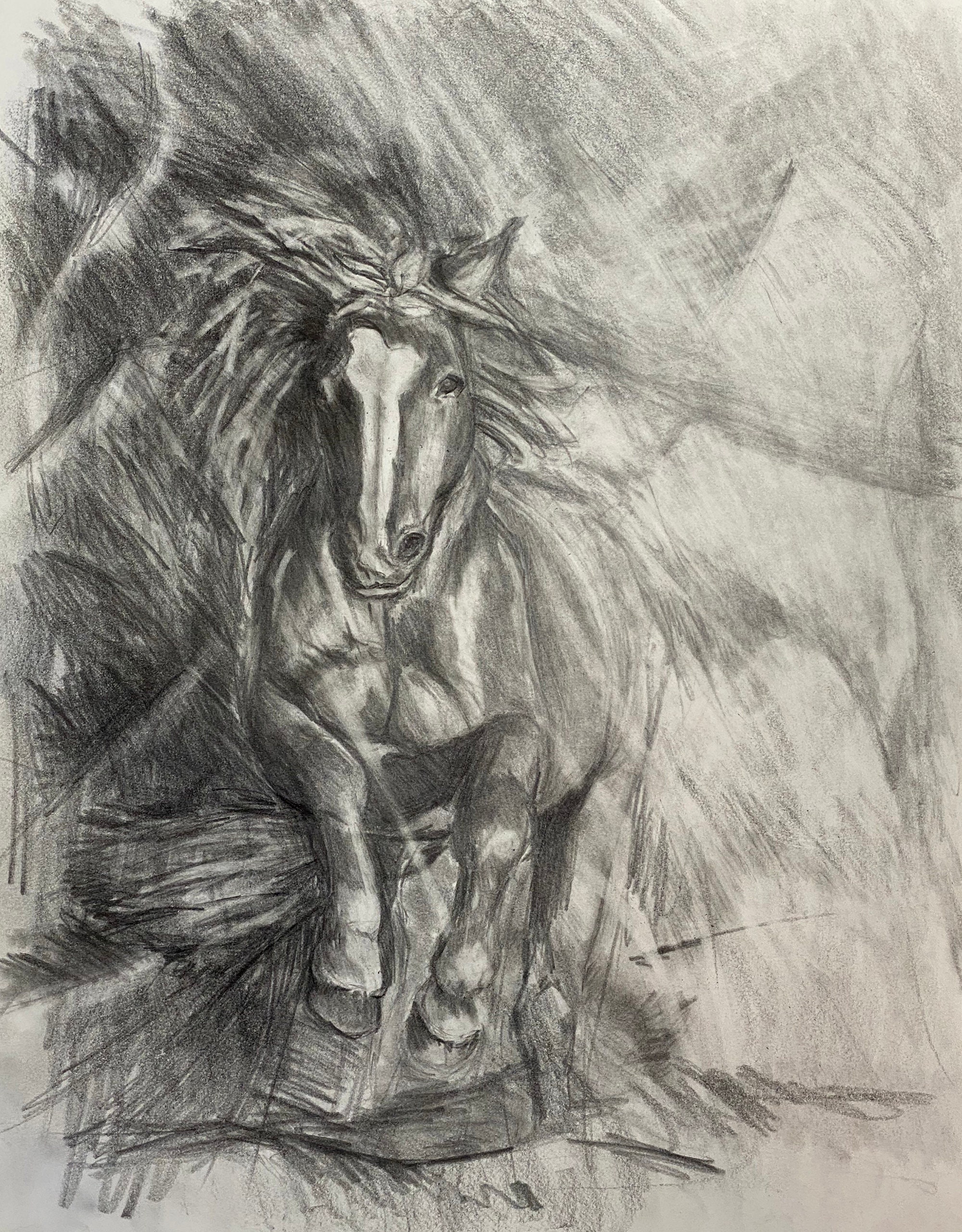 Horse Drawing / Graphite Drawing / Pencil Drawing / Horse Etsy