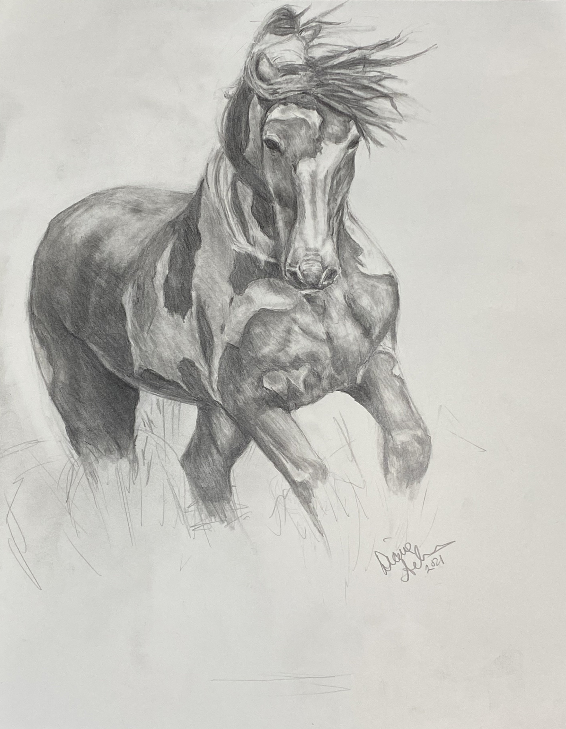 Horse Drawing / Graphite Drawing / Pencil Drawing / Horse Etsy