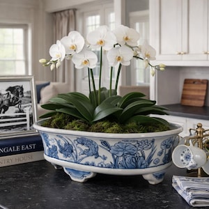 Puede incluir: Una planta de orquídeas blancas en una maceta de cerámica azul y blanca con un diseño floral. La maceta está sobre una encimera oscura, junto a una foto en blanco y negro enmarcada y una pila de libros. También se ve un juego de tazas de té.
