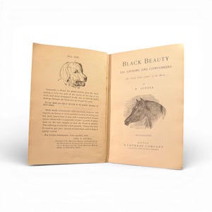 May include: An open book with aged, yellowed pages. The left page features a sketch of a dog's head and text. The right page displays the title "Black Beauty" with a horse illustration and author's name. The book is from the D Lothrop Company.