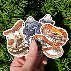 Vinyl Snake and Mushroom Stickers || Waterproof Vinyl Decal