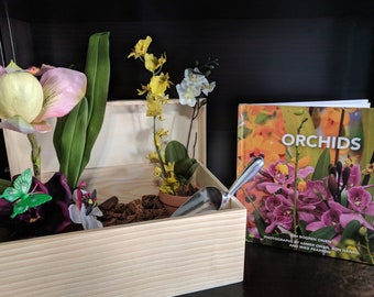 Orchideen-Blumen-Bilderbuch und sensorische Box Bundle