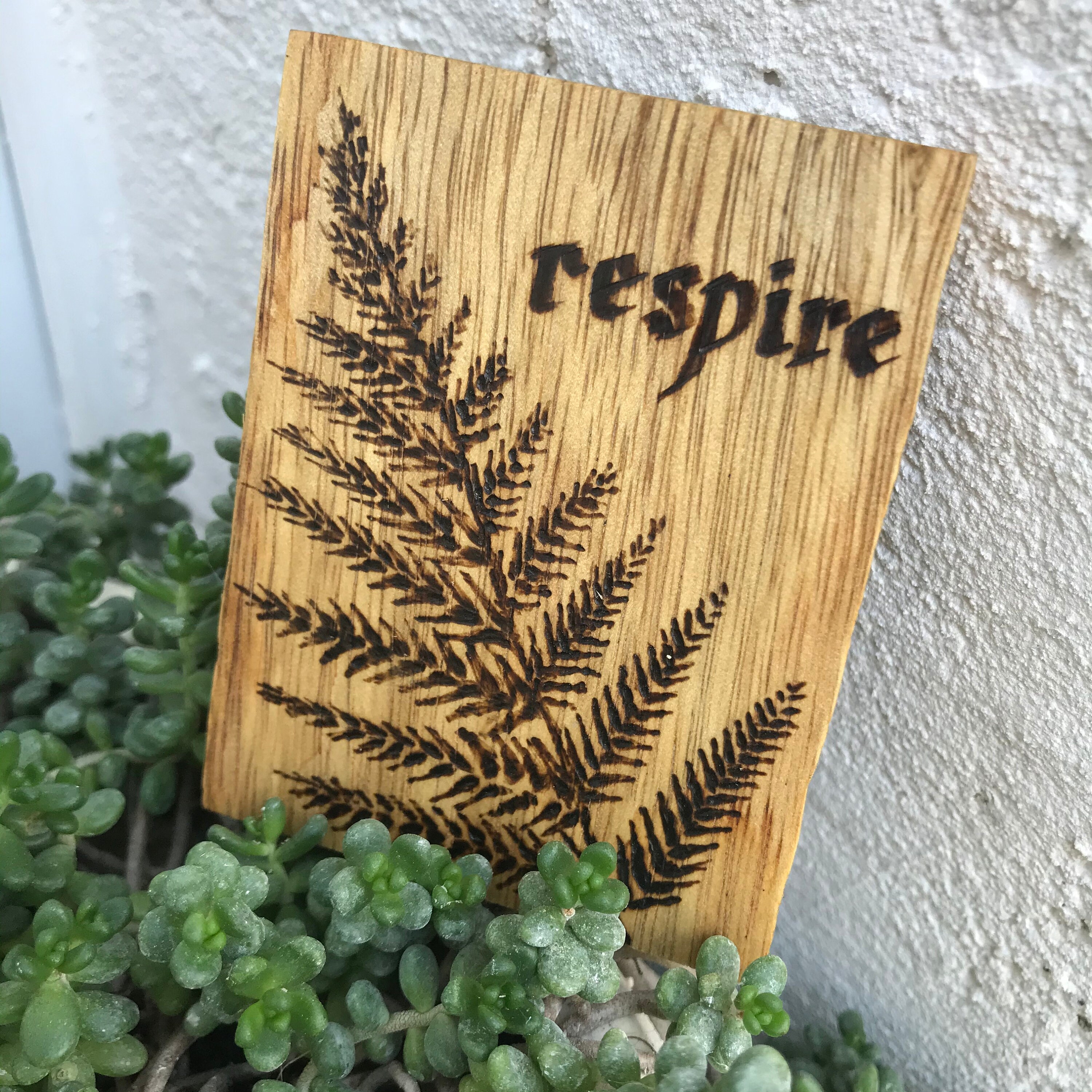 Lame de Bois Fougère