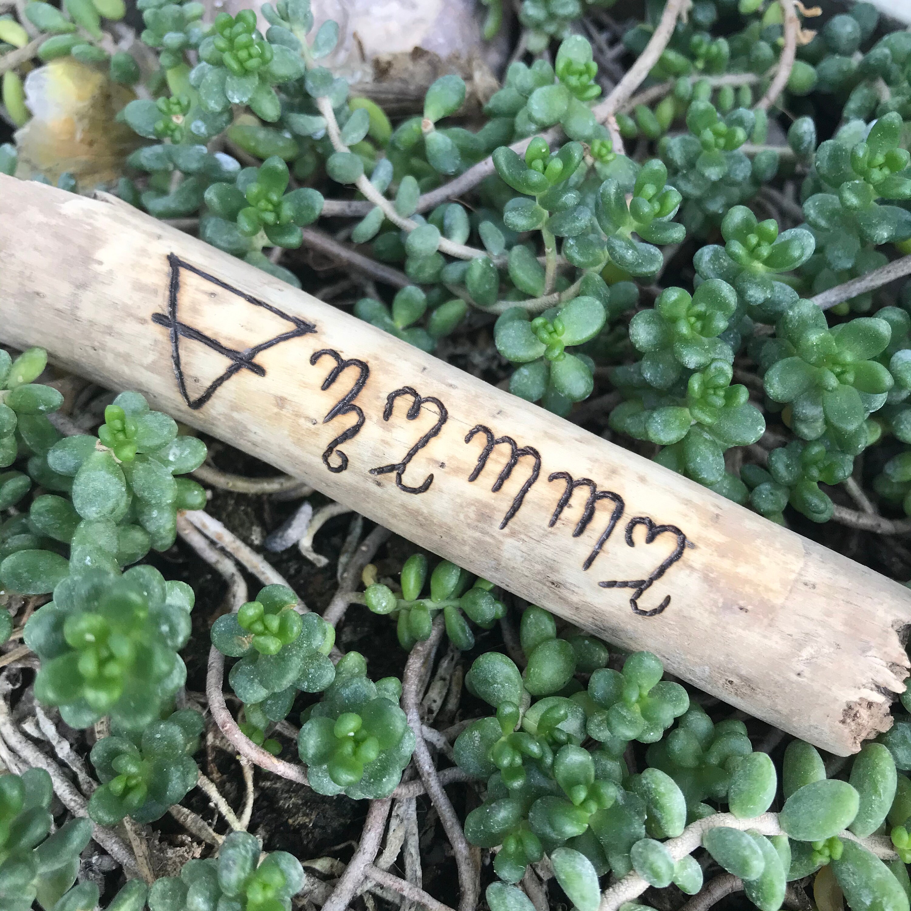 Bois Gravé Élément Terre en Alphabet Thébain