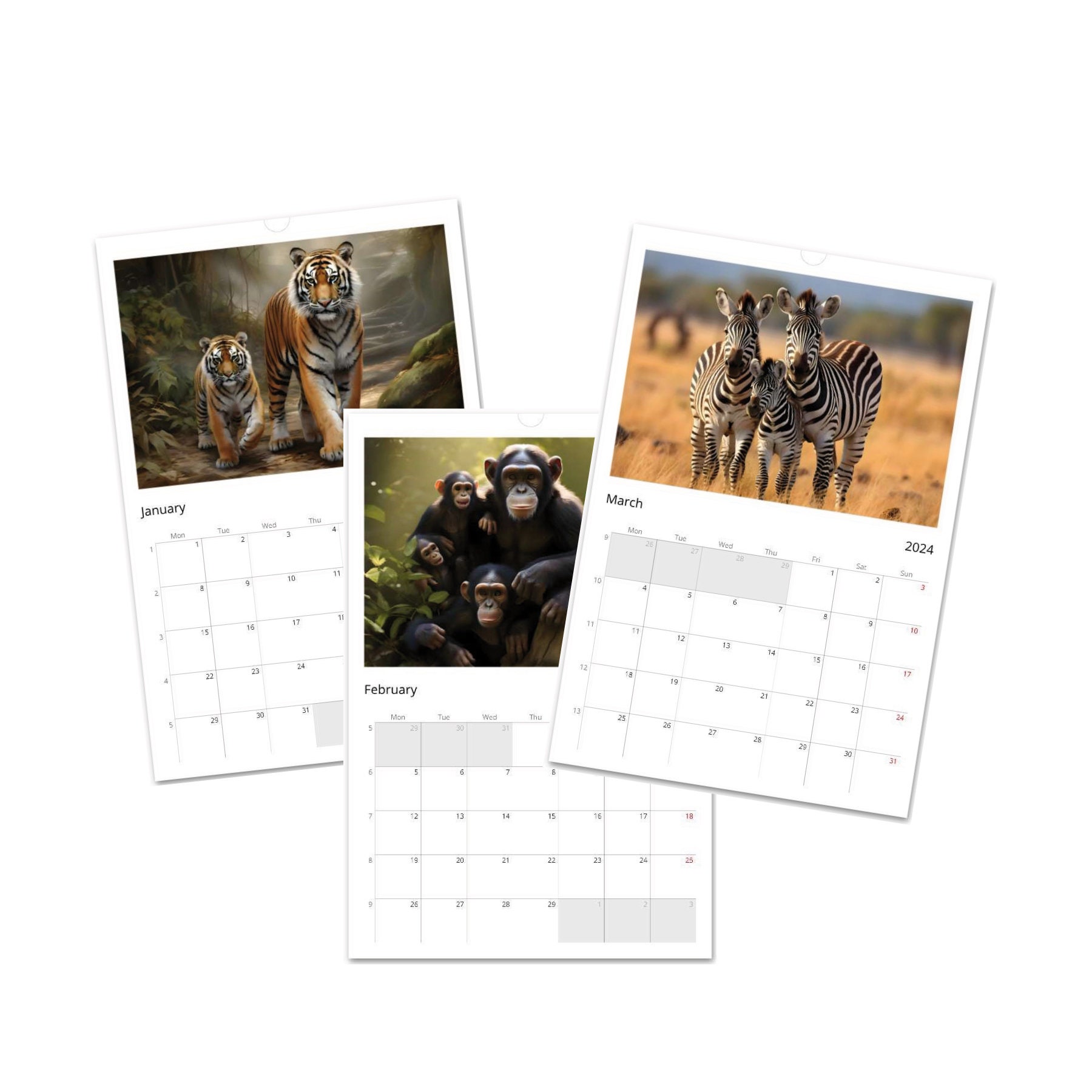 2024 Wildlife Wall Calendar 2024 Featuring a Different Wild Etsy