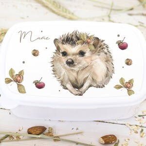 Boîte à lunch avec hérisson , et animaux de la forêt, Boîte à la maternelle, Boîte à lunch pour l’école, Jardin d’enfants, Boîte à lunch personnalisée pour la maternelle, École,