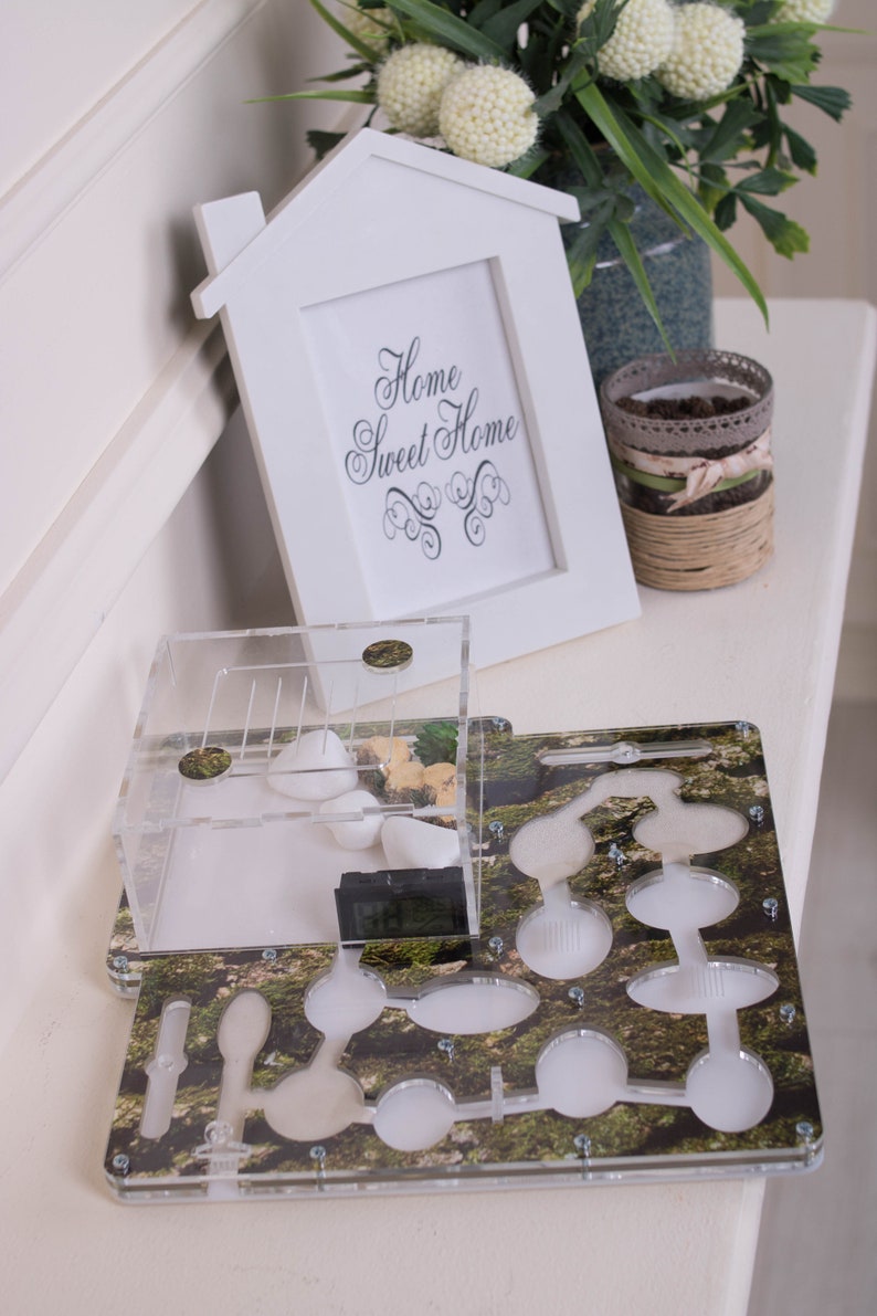 farm Ant Farm Educational Kit anthouse ants ant, formicarium ant habitat