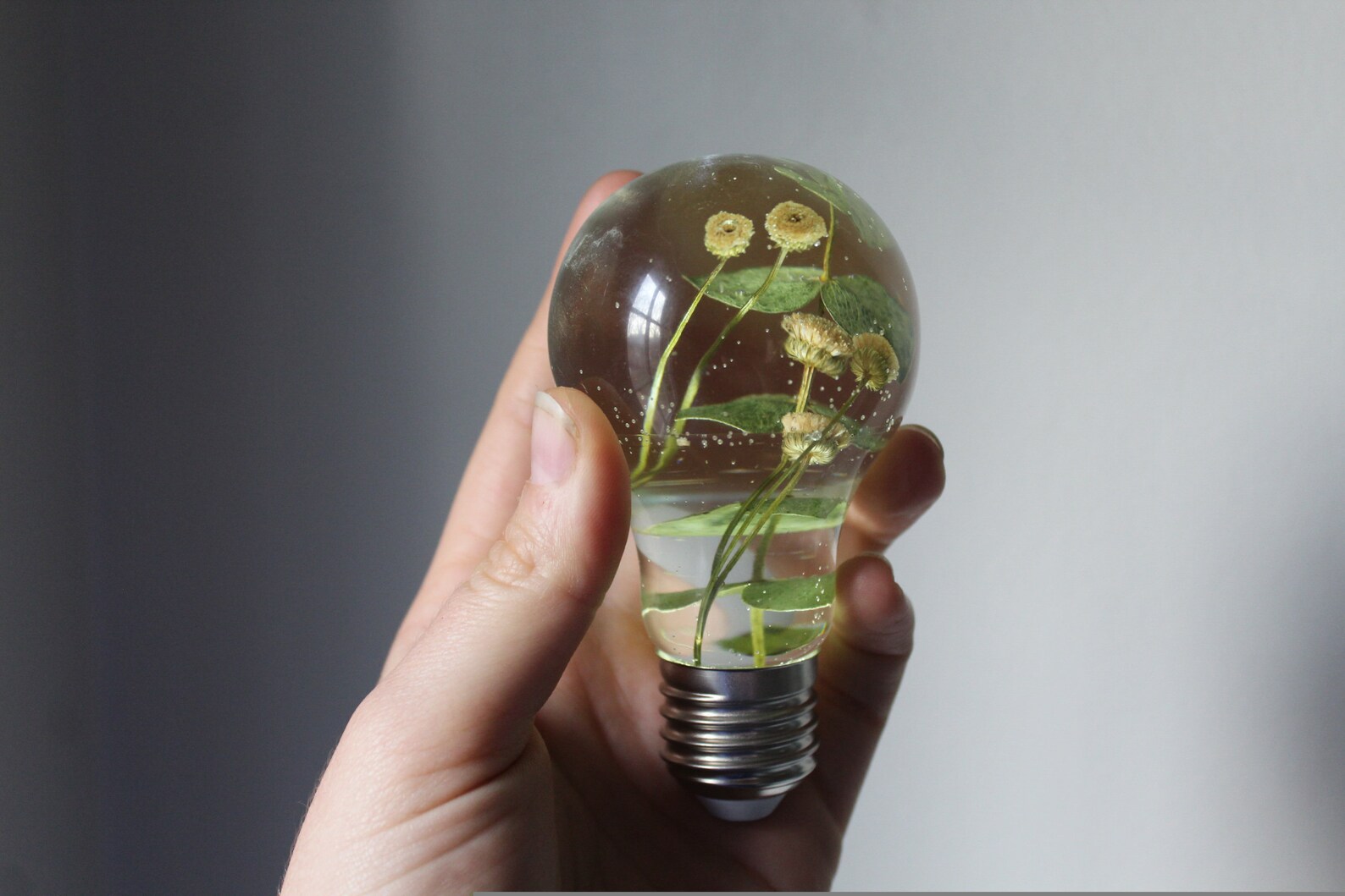 Real flower light bulb resin light bulb real light bulb Etsy
