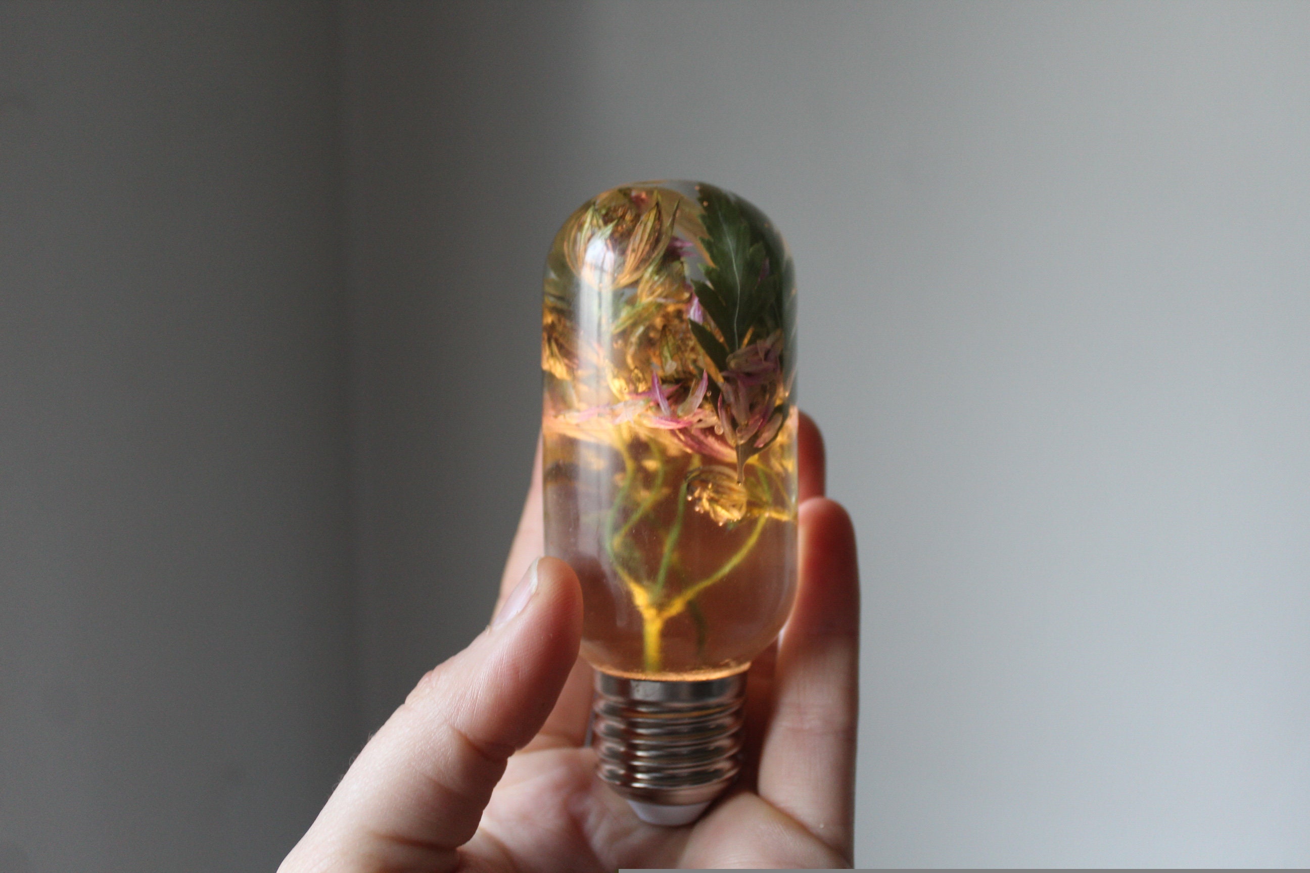 Real flower light bulb resin light bulb real light bulb Etsy