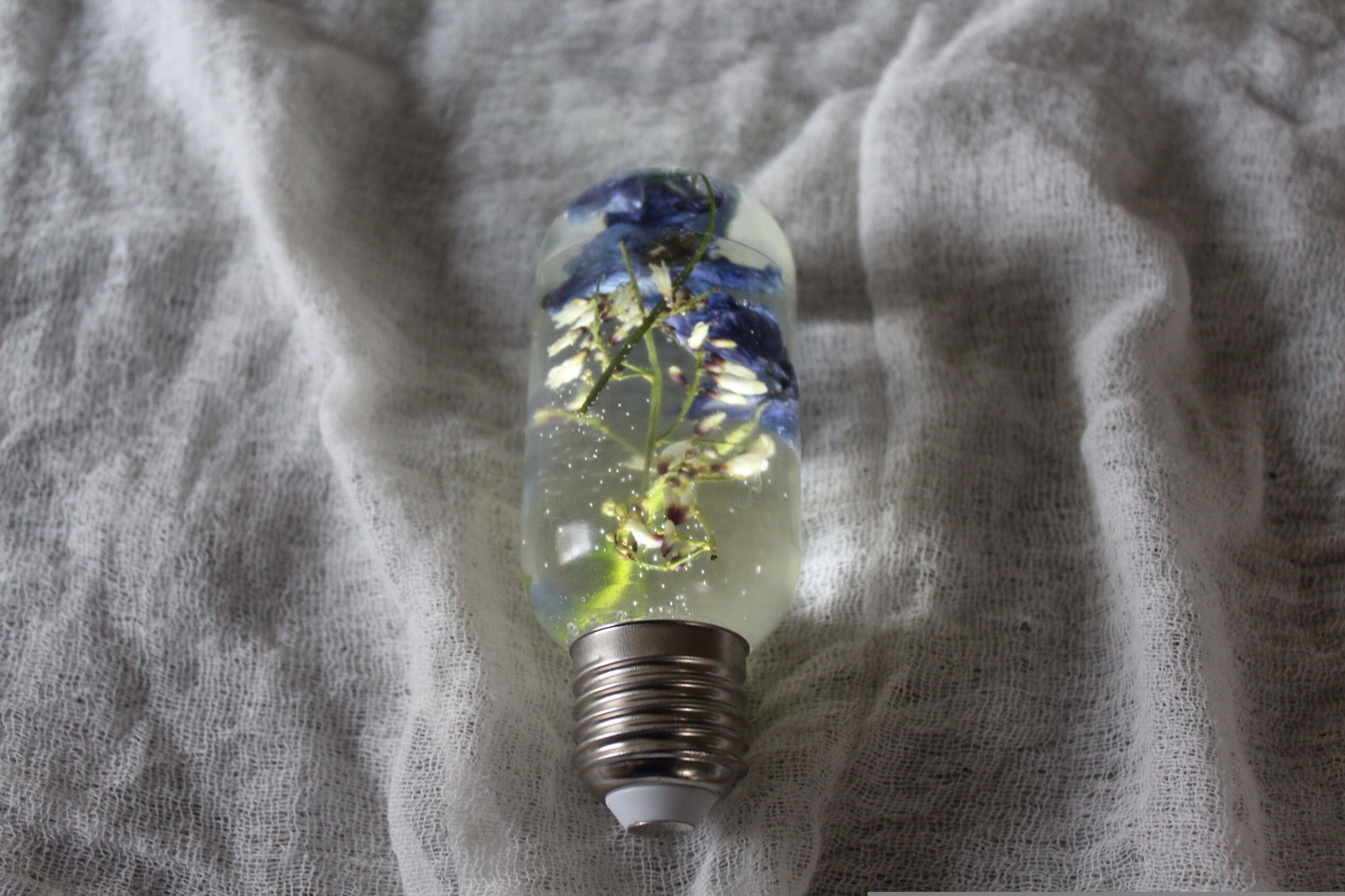 Real flower light bulb resin light bulb real light bulb Etsy