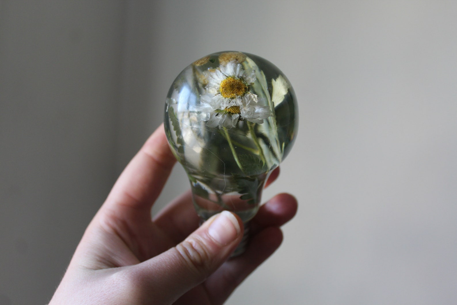 Real flower light bulb resin light bulb real light bulb Etsy