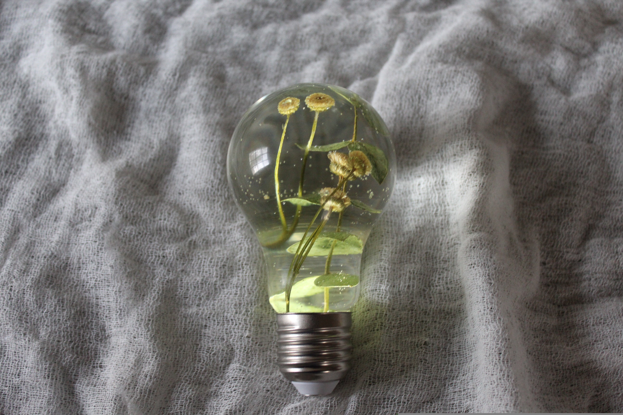 Real flower light bulb resin light bulb real light bulb Etsy