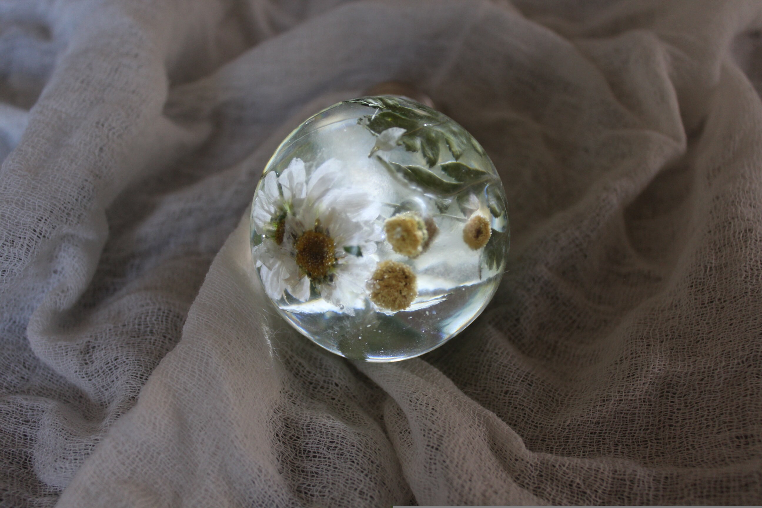 Real flower light bulb resin light bulb real light bulb Etsy