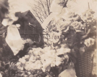 Vintage Photo, Soft Focus Close Up of Floral Arrangements, Vernacular, Roses, Flowers, Baskets, Spring, Florist, House, Outdoors, Happy