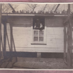 Antique Photo, Funny Photo of Man in Chicken Coop with Chickens on the Roof, Vernacular, Birds, Joke, Window, Soft Focus, Silly, Animals