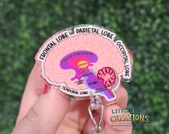 Labeled Brain Badge Reel: Anatomy ID Clip for Nurses & Psychologists