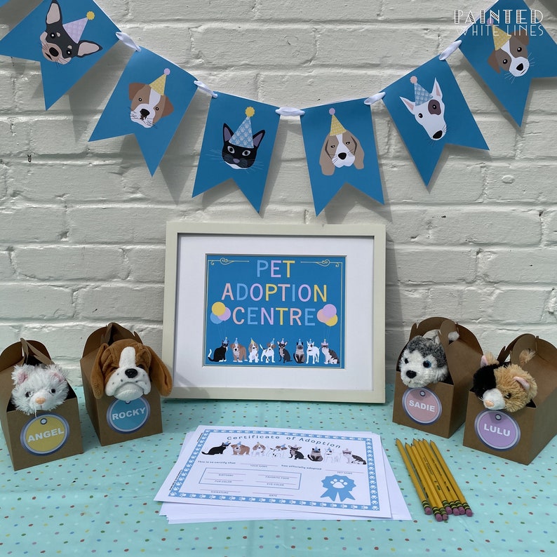May include: A Pet Adoption Centre party set up with a blue and white banner, a framed sign that says "Pet Adoption Centre", and stuffed animal toys in brown boxes labeled "Angel", "Rocky", "Sadie", and "Lulu".