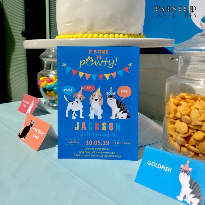 Boys Cat Birthday Party Invitation Template Download Cat | Etsy