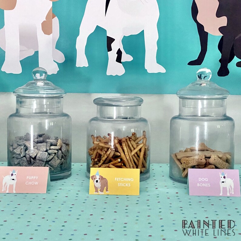 Op de afbeelding: Drie glazen potten gevuld met verschillende hondensnacks. De potten zijn gelabeld met "Puppy Chow", "Fetching Sticks" en "Dog Bones".