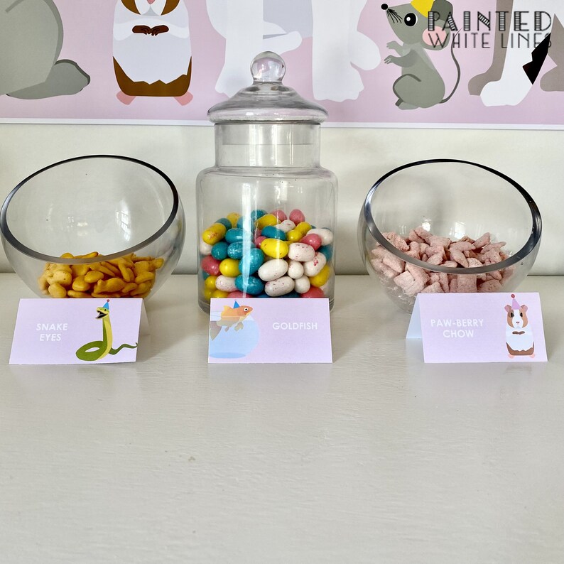 K&ouml;nnte beinhalten: Drei Sch&uuml;sseln mit Snacks und Etiketten. Die Sch&uuml;ssel links enth&auml;lt gelbe und orange Cracker mit der Aufschrift "Snake Eyes". Die mittlere Sch&uuml;ssel enth&auml;lt bunte S&uuml;&szlig;igkeiten mit der Aufschrift "Goldfish". Die Sch&uuml;ssel rechts enth&auml;lt rosa und wei&szlig;es M&uuml;sli mit der Aufschrift "Paw-Berry Chow".