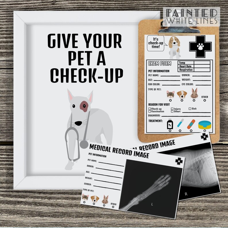 May include: A printable pet check-up form with a cartoon dog wearing a stethoscope. The form includes sections for pet information, reason for visit, diagnosis, and treatment. It also includes a space for a medical record image.