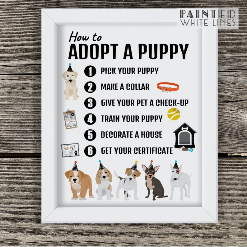 May include: A white framed poster with the title "How to Adopt a Puppy" and a list of steps with illustrations. The steps include: pick your puppy, make a collar, give your pet a check-up, train your puppy, decorate a house, and get your certificate.