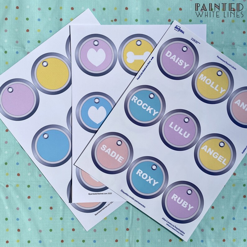 May include: Three sheets of white paper with round, colorful labels printed on them. The labels have names like Daisy, Molly, Angel, Rocky, Lulu, Sadie, Roxy, and Ruby. The labels are designed to be used for pet tags.